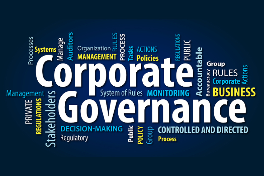 Corporate Governance & Company Secretary Excellence 2024